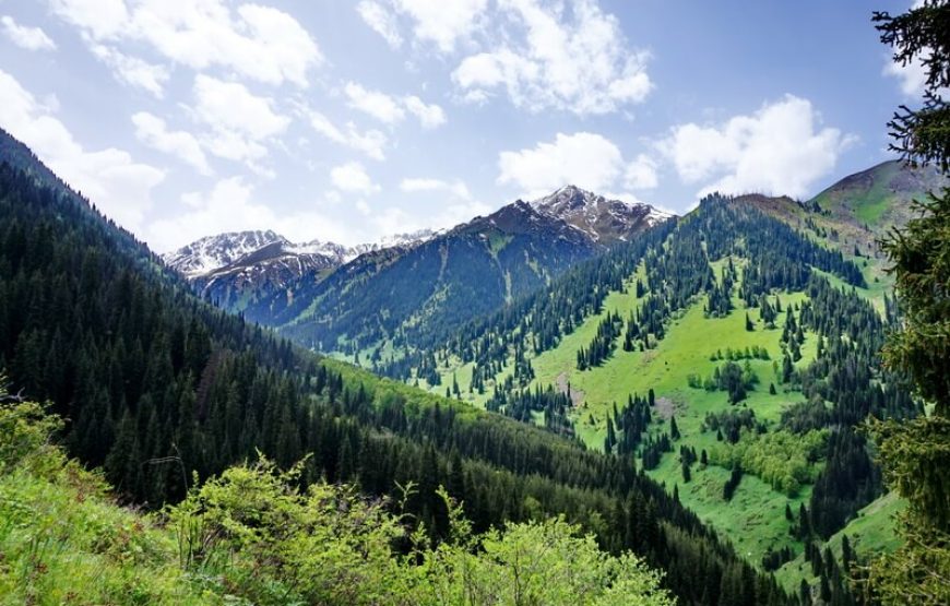 Active Tour around Almaty: Immersion in Nature and Culture