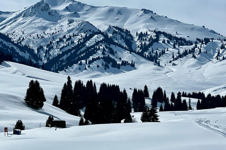 Freeride & Backcountry in Karkara