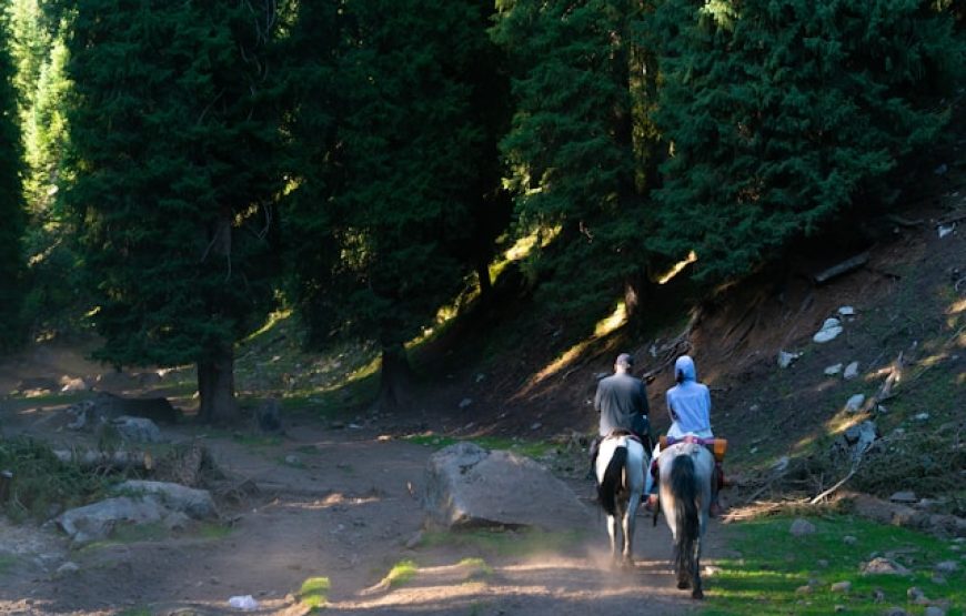 Horseback riding