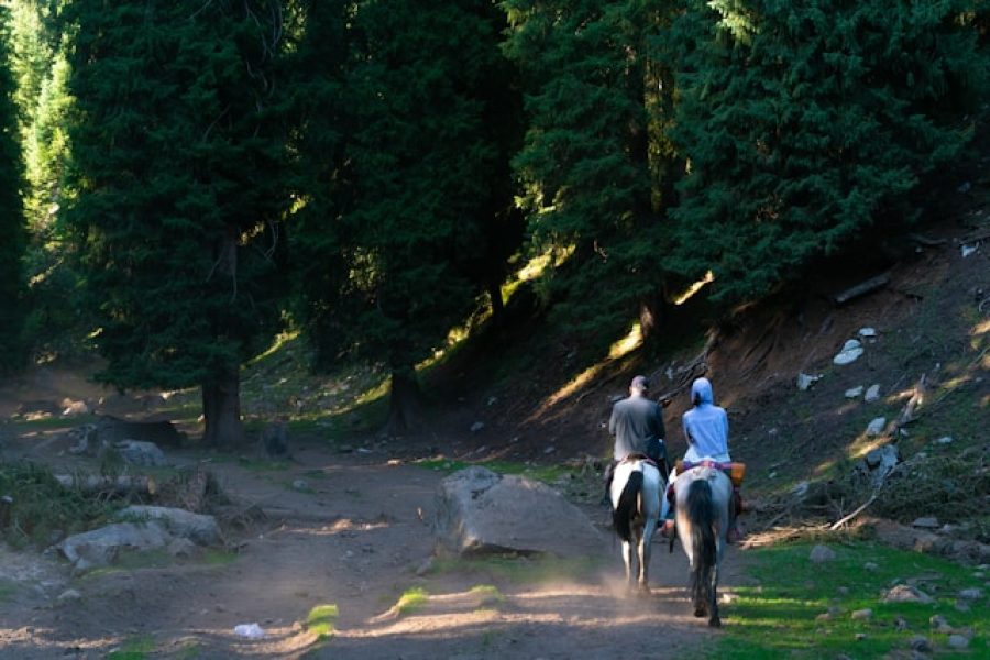 horseback riding almaty