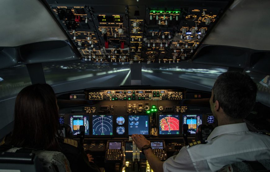 Flight Simulator Experience