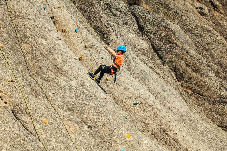 Climbing Wall Park